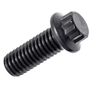 12 Point Flange Bolt